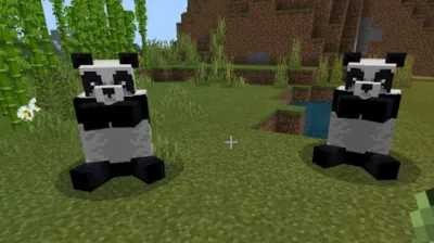 我的世界熊猫怎么繁殖？