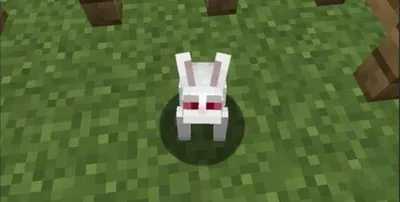 我的世界兔子怎么繁殖？
