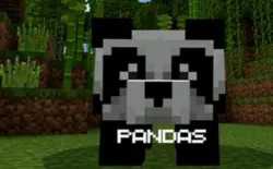 我的世界熊猫怎么驯服？